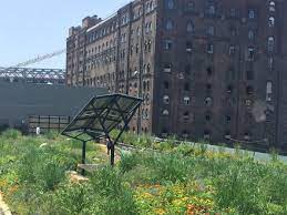This Brooklyn Rooftop Garden Is A Fully