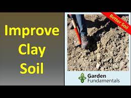 Improve Heavy Clay Soil