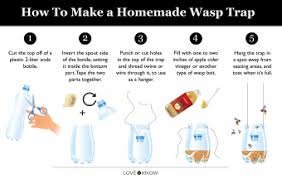 how to make homemade wasp traps that