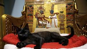 I gatti e l'antico Egitto: una passione oscura | Tutto Zampe