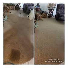 dolphin carpet cleaning restoration