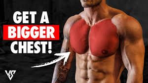 the ultimate workout for a bigger chest