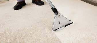 the best carpet cleaners reviews