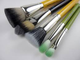 antibacterial makeup brush review