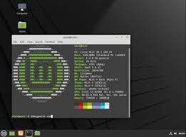 linux mint 20 1 ulyssa available for