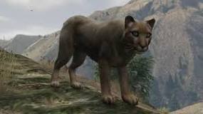 where-is-the-mountain-lion-in-gta5