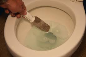 how to remove toilet bowl rings with a