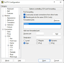 how to use putty as a socks proxy