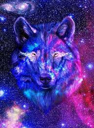We've gathered more than 5 million images uploaded by our users and sorted them by the most popular ones. Galaxy Wolf Wallpapers Wolf Wallpapers Pro