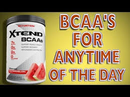 original xtend bcaas scivation 20