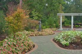 paved path in mercer arboretum