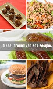 10 best ground venison recipes