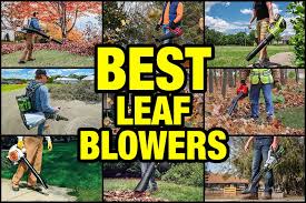 best leaf er reviews 2023 pro