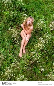 sexy süße junge blonde Frau sitzt nackt auf einer Wiese mit Gänseblümchen  im Sommer, genießt ihr Leben und den Moment, von oben, bedeckt ihre  Nacktheit sogar mit ihren Händen - ein lizenzfreies
