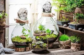 create a lovely diy terrarium