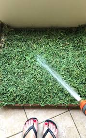 How To Make A Real Grass Dog Toilet On