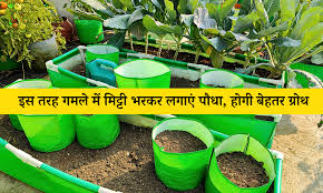 How To Fill Soil In Pot In Hindi