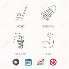 Ice Hockey Basketball And Badminton Icons Biceps Linear Sign