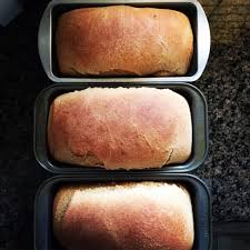 100 whole wheat bread 365 days of