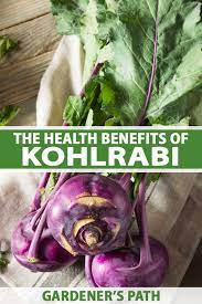 health benefits of kohlrabi gardener