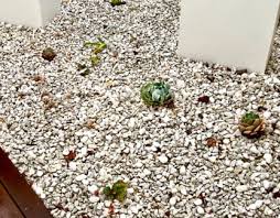 Garden White Pebbles In Melbourne