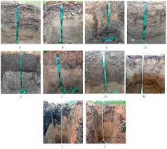 Soil Systems | Free Full-Text | Micromorphological Characteristics of Fallow,  Pyrogenic, Arable Soils of Central Part of Yakutia