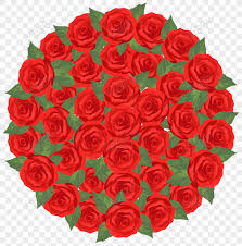 red rose bouquet png images with