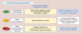 High blood pressure (hypertension) is a common but dangerous condition. Current Perspective On The Use Of Calcium Channel Blockers To Treat Hypertensive Patients The Role Of Lercanidipine Future Cardiology