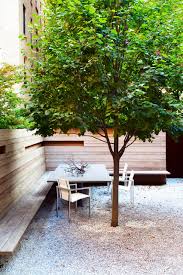 Pretty Trees For Patios Paths And