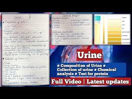 urine chemical ysis test