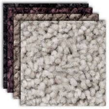 belgotex softology s301 carpet offer at