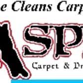 aspen roto clean carpet cleaner salt