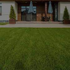 green carpet lawn care 15 photos 10