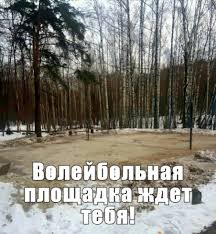 Картинки по запросу основные правила игры волейбол