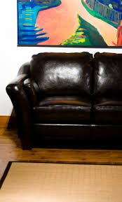 remove body odor from a leather couch