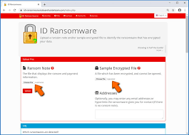 vault ransomware decryption removal