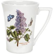 portmeirion botanic garden mandarin mug