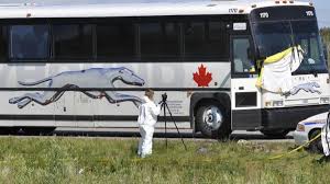 His body was missing the internal organs. Burial Funeral Of Canadian Beheaded On Bus Welt