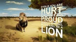 Hd Wallpapers Lion 1080p With Quote ...