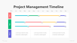 project management timeline infographic