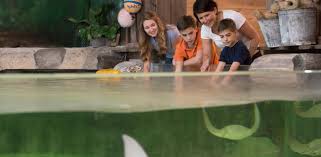 Fort Wayne Children's Zoo de Fort Wayne | Horario, Mapa y entradas 3