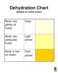 Ppt Dehydration Chart Based On Urine Color Powerpoint