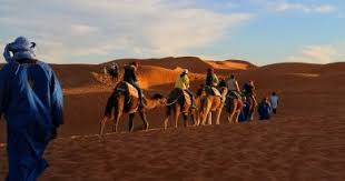 Full review of camel safaries. 43 Top Morocco Desert Tours 2021 Best Morocco Tours Incomparable