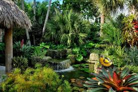 Tropical Landscaping Design Ideas