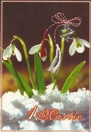 Mărțișor (mərt͡siˈʃor) is a celebration at the beginning of spring, on march the 1st in romania. Imagini Pentru Martisoare Animate Muzicale Plants