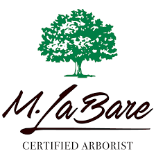 How to become an arborist: M Labare Certified Arborist Llc Home Facebook