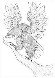 Colouring picture with bald eagle drawn in zentangle style. Eagle Birds Adult Coloring Pages