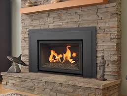 Gas Fireplace Insert Wood Burning