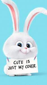 cute bunny rabbit cartoon animation