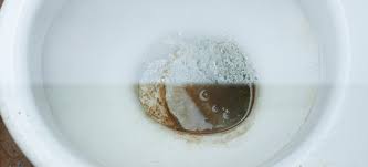 How do you clean a badly stained toilet?